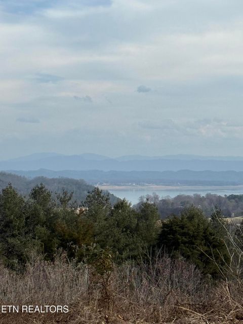 Tiny photo for 2826 Homestead Drive, White Pine, TN 37890 (MLS # 1329227)