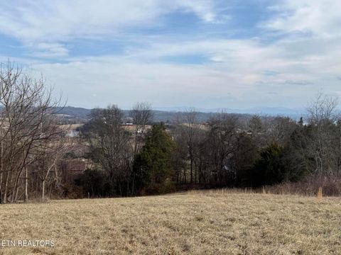 Photo of 2826 Homestead Drive, White Pine, TN 37890 (MLS # 1329227)