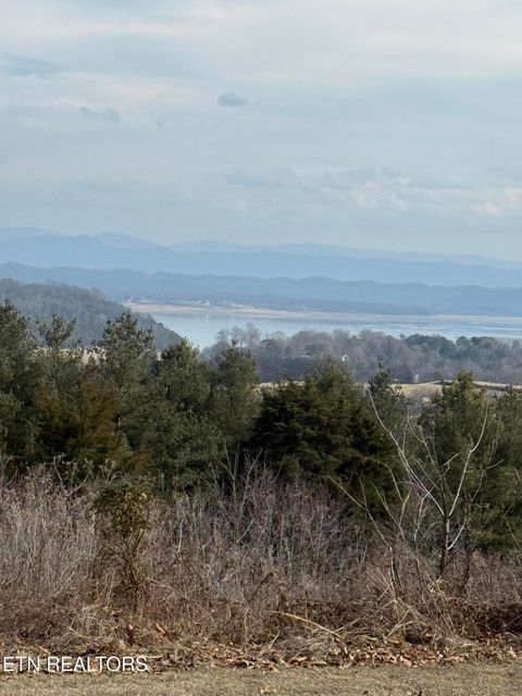 Tiny photo for 2826 Homestead Drive, White Pine, TN 37890 (MLS # 1329227)