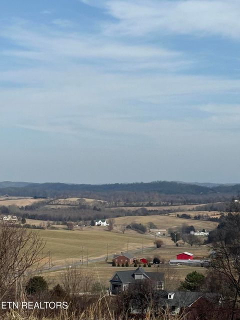 Tiny photo for 2826 Homestead Drive, White Pine, TN 37890 (MLS # 1329227)