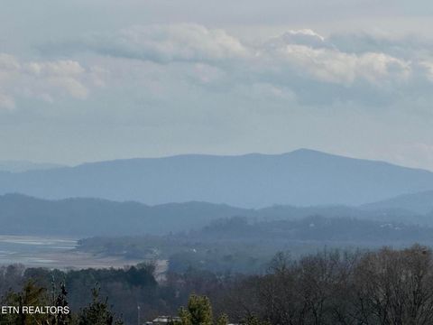 Tiny photo for 2826 Homestead Drive, White Pine, TN 37890 (MLS # 1329227)