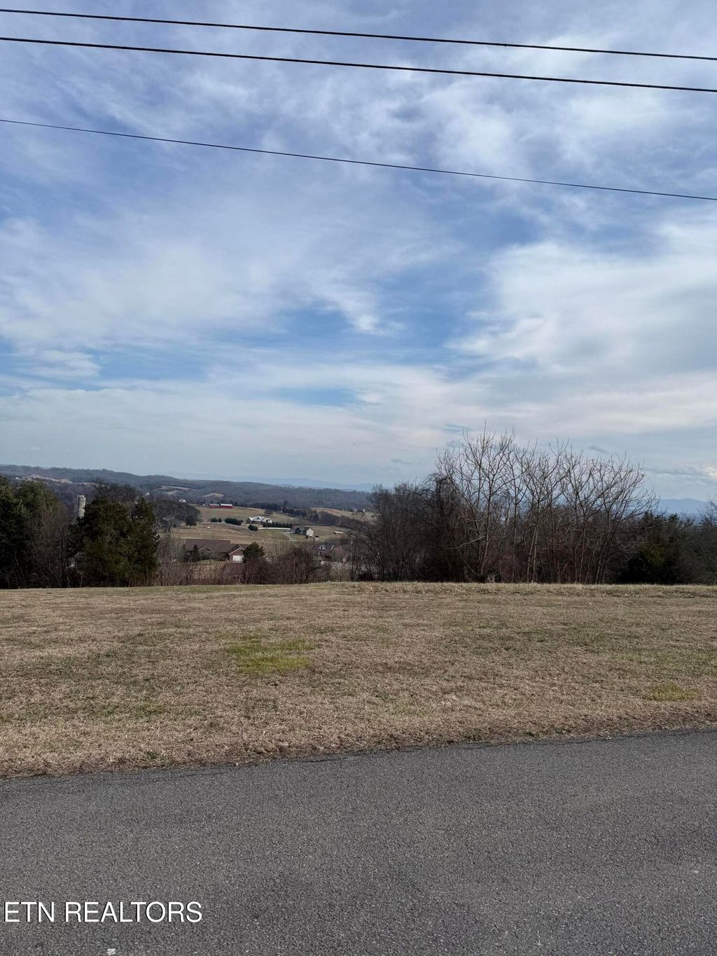Photo of 2826 Homestead Drive, White Pine, TN 37890 (MLS # 1329227)