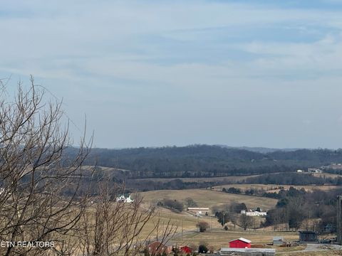 Tiny photo for 2826 Homestead Drive, White Pine, TN 37890 (MLS # 1329227)