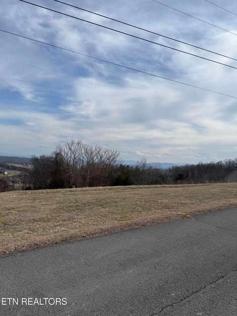 Tiny photo for 2826 Homestead Drive, White Pine, TN 37890 (MLS # 1329227)