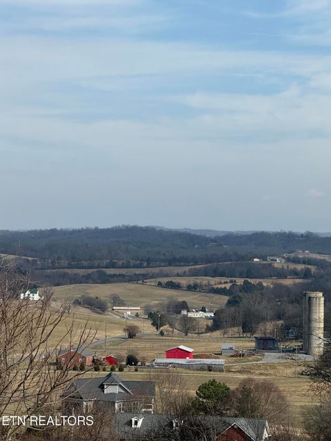 Tiny photo for 2826 Homestead Drive, White Pine, TN 37890 (MLS # 1329227)