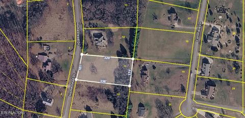 Tiny photo for 2826 Homestead Drive, White Pine, TN 37890 (MLS # 1329227)