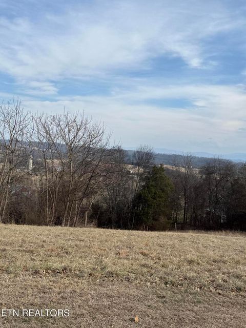 Tiny photo for 2826 Homestead Drive, White Pine, TN 37890 (MLS # 1329227)