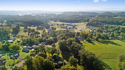 Tiny photo for 949 Highway 25-32, White Pine, TN 37890 (MLS # 1317227)