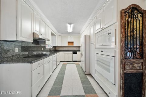 Tiny photo for 949 Highway 25-32, White Pine, TN 37890 (MLS # 1317227)