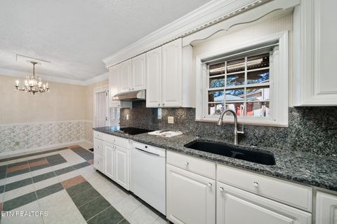 Tiny photo for 949 Highway 25-32, White Pine, TN 37890 (MLS # 1317227)