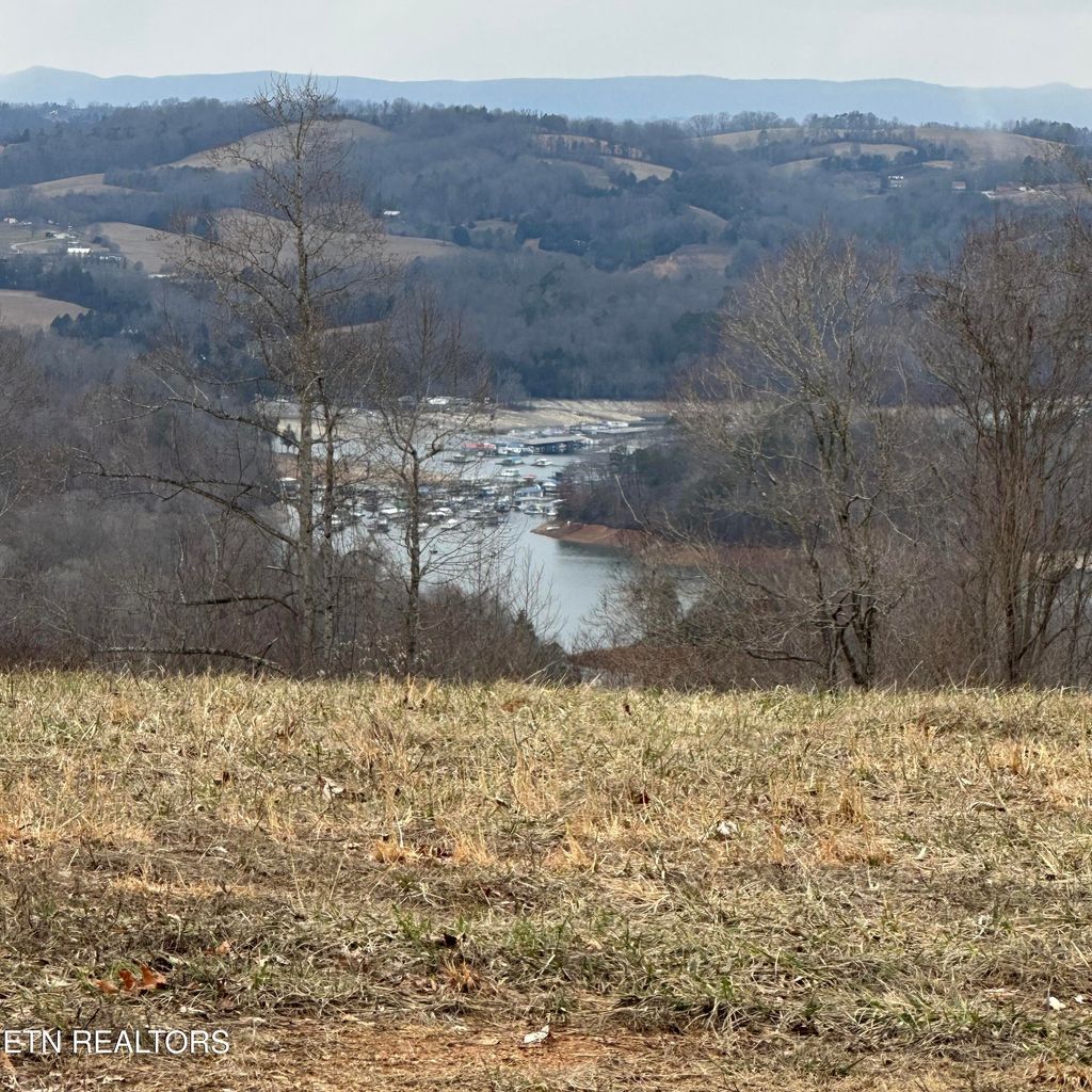 Photo of Overton, Lot 8 Rd, Maynardville, TN 37807 (MLS # 1253562)