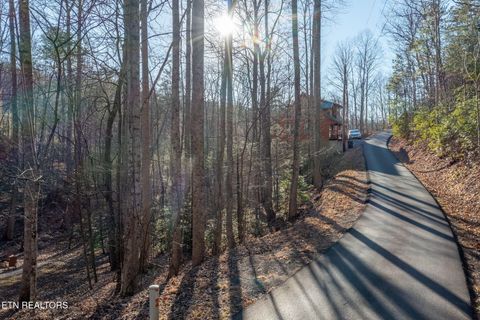 Photo of 1458 Beach Front Drive, Sevierville, TN 37876 (MLS # 1325584)
