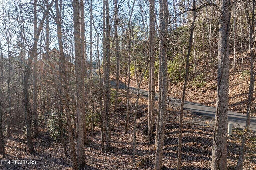 Photo of 1458 Beach Front Drive, Sevierville, TN 37876 (MLS # 1325584)