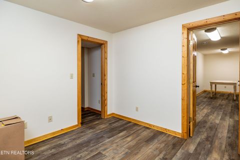 Tiny photo for 7835 E Lamar Alexander Pkwy, Townsend, TN 37882 (MLS # 1325429)