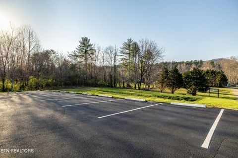 Tiny photo for 7835 E Lamar Alexander Pkwy, Townsend, TN 37882 (MLS # 1325429)