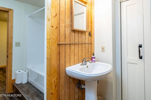 Tiny photo for 7835 E Lamar Alexander Pkwy, Townsend, TN 37882 (MLS # 1325429)