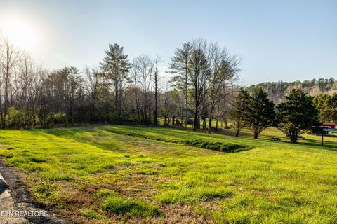 Tiny photo for 7835 E Lamar Alexander Pkwy, Townsend, TN 37882 (MLS # 1325429)