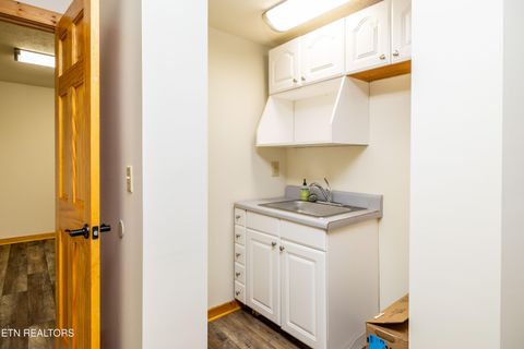 Tiny photo for 7835 E Lamar Alexander Pkwy, Townsend, TN 37882 (MLS # 1325429)