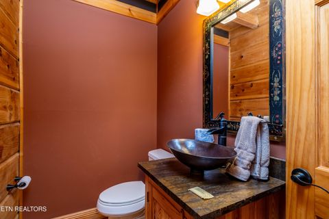 Tiny photo for 7835 E Lamar Alexander Pkwy, Townsend, TN 37882 (MLS # 1325429)