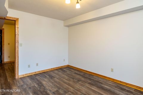 Tiny photo for 7835 E Lamar Alexander Pkwy, Townsend, TN 37882 (MLS # 1325429)