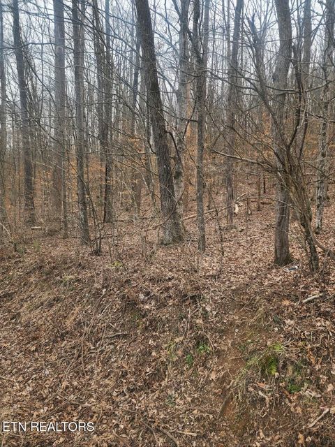 Tiny photo for Upper Concord Rd, Ten Mile, TN 37880 (MLS # 1329916)