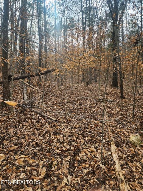 Tiny photo for Upper Concord Rd, Ten Mile, TN 37880 (MLS # 1329916)