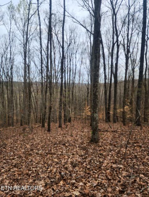 Photo of Upper Concord Rd, Ten Mile, TN 37880 (MLS # 1329916)