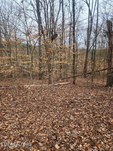 Tiny photo for Upper Concord Rd, Ten Mile, TN 37880 (MLS # 1329916)