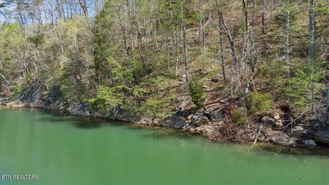 Tiny photo for 44 Hiwassee Drive, Jacksboro, TN 37757 (MLS # 1333790)