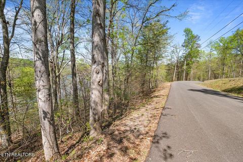 Tiny photo for 44 Hiwassee Drive, Jacksboro, TN 37757 (MLS # 1333790)