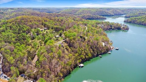 Tiny photo for 44 Hiwassee Drive, Jacksboro, TN 37757 (MLS # 1333790)