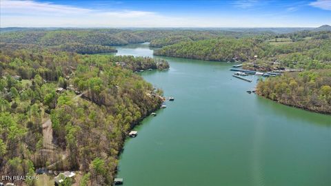 Tiny photo for 44 Hiwassee Drive, Jacksboro, TN 37757 (MLS # 1333790)