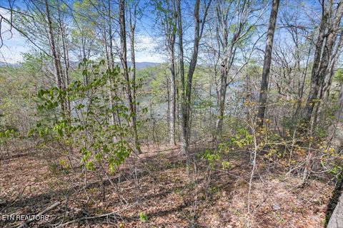 Tiny photo for 44 Hiwassee Drive, Jacksboro, TN 37757 (MLS # 1333790)