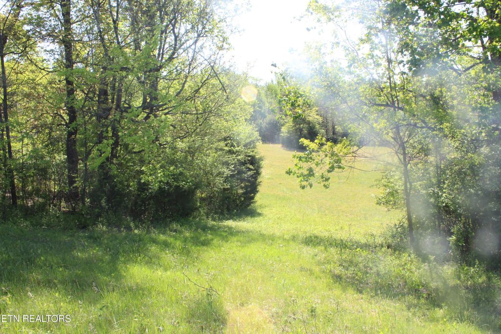 Photo of 3740 Wayne Bryant Rd, Louisville, TN 37777 (MLS # 1336934)