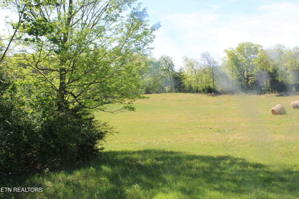 Photo of 3740 Wayne Bryant Rd, Louisville, TN 37777 (MLS # 1336934)