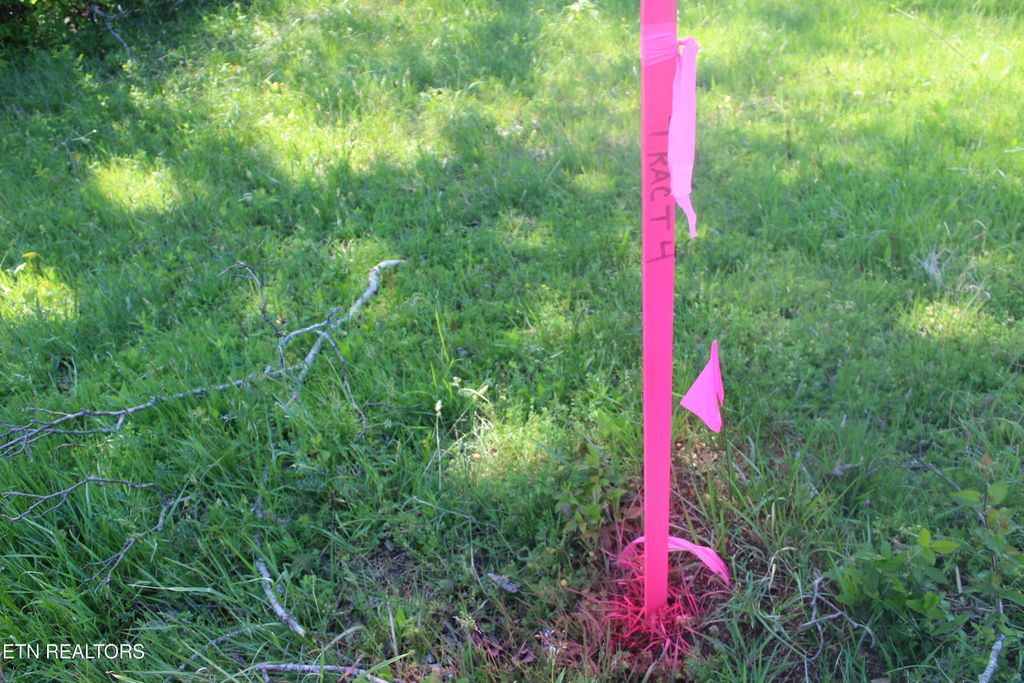 Photo of 3740 Wayne Bryant Rd, Louisville, TN 37777 (MLS # 1336934)