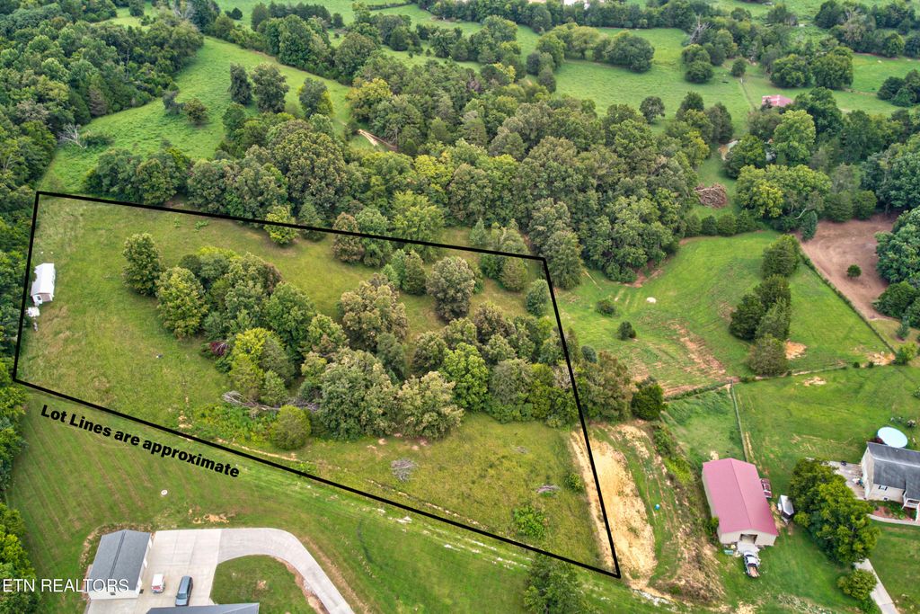 Photo of 3596 Blue Springs Rd, Strawberry Plains, TN 37871 (MLS # 1241630)