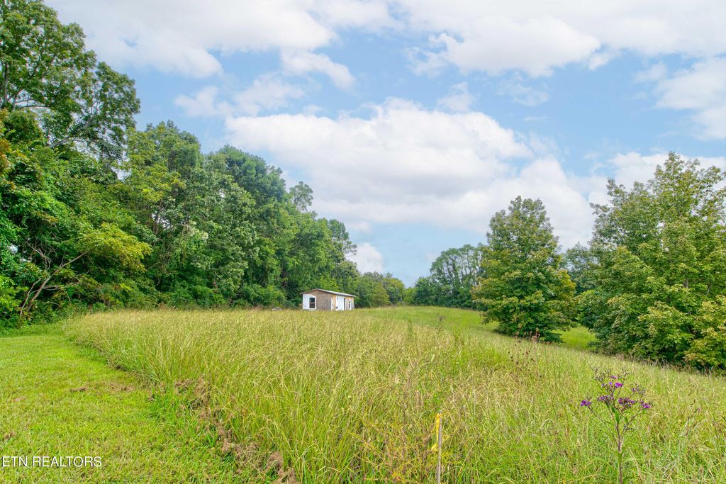 Photo of 3596 Blue Springs Rd, Strawberry Plains, TN 37871 (MLS # 1241630)