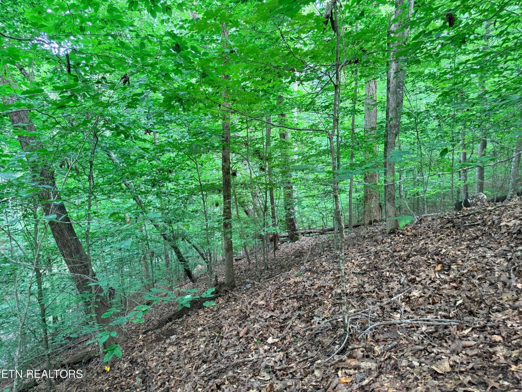 Photo of 128 Islandview Point, Sharps Chapel, TN 37866 (MLS # 1352986)