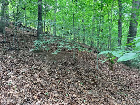 Photo of 128 Islandview Point, Sharps Chapel, TN 37866 (MLS # 1352986)