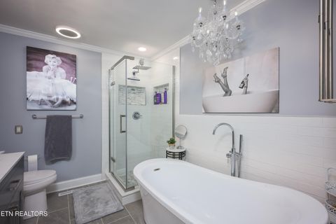 Tiny photo for 817 Montvue Ave, Kingston, TN 37763 (MLS # 1328111)