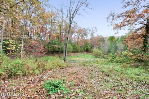 Tiny photo for 61 Old Stagecoach Rd, Crossville, TN 38555 (MLS # 1334733)