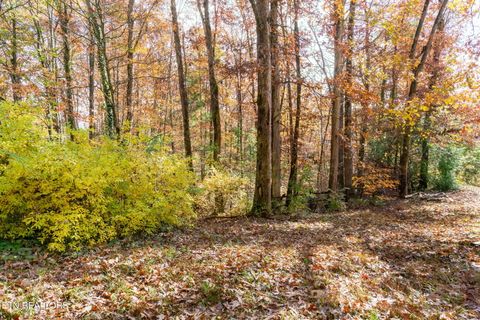 Tiny photo for 61 Old Stagecoach Rd, Crossville, TN 38555 (MLS # 1334733)