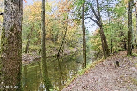Tiny photo for 61 Old Stagecoach Rd, Crossville, TN 38555 (MLS # 1334733)