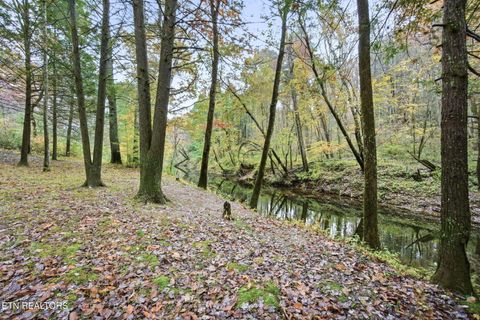 Tiny photo for 61 Old Stagecoach Rd, Crossville, TN 38555 (MLS # 1334733)