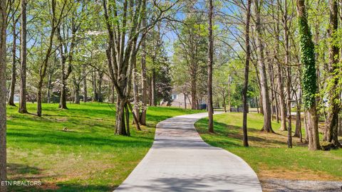 Tiny photo for 731 Bowman Bend Rd, Harriman, TN 37748 (MLS # 1335407)