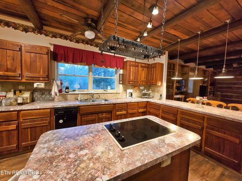 Tiny photo for 1249 Sharp Rd, Speedwell, TN 37870 (MLS # 1322917)