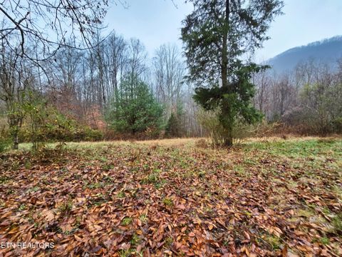 Tiny photo for 1249 Sharp Rd, Speedwell, TN 37870 (MLS # 1322917)