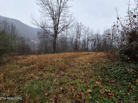 Tiny photo for 1249 Sharp Rd, Speedwell, TN 37870 (MLS # 1322917)