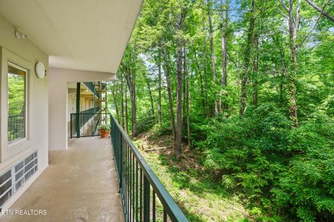 Tiny photo for 413 Baskins Creek Rd #501, Gatlinburg, TN 37738 (MLS # 1341834)